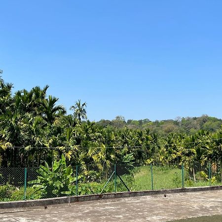 Emerald Castle Villa Madikeri Bagian luar foto