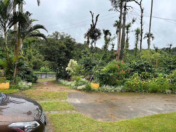 Emerald Castle Villa Madikeri Bagian luar foto